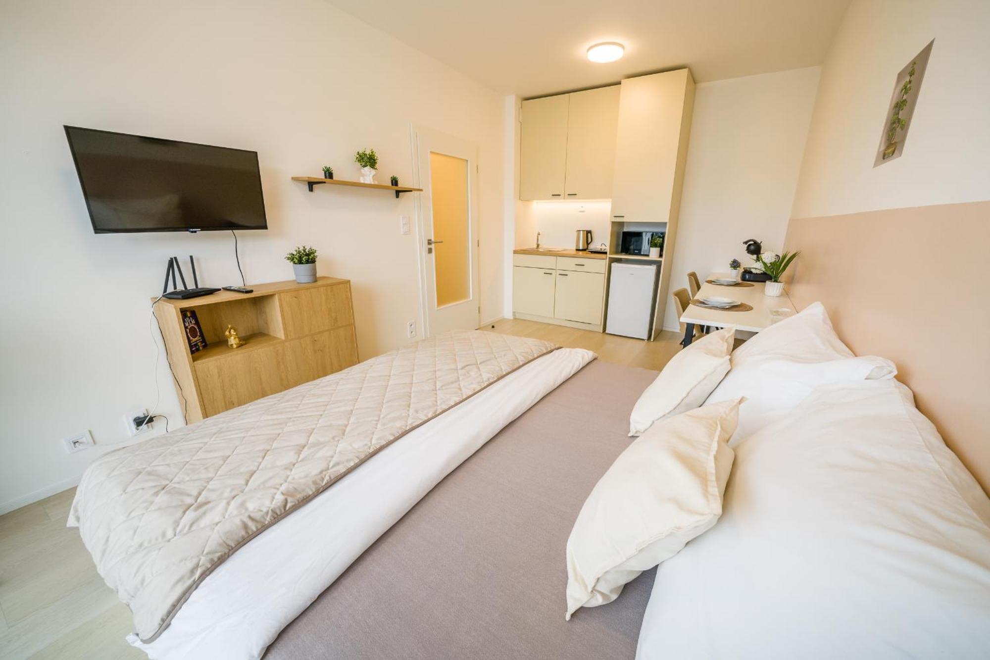 Street Apartments Brno Center Ngoại thất bức ảnh